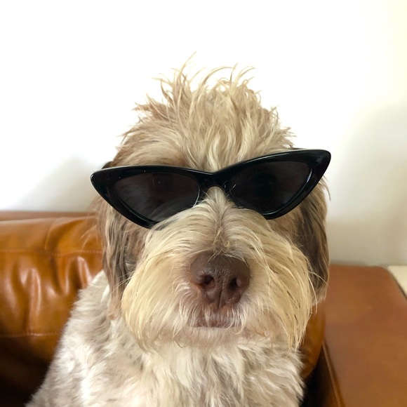 Meet your Posher, Alexa - Picture 1 of 1